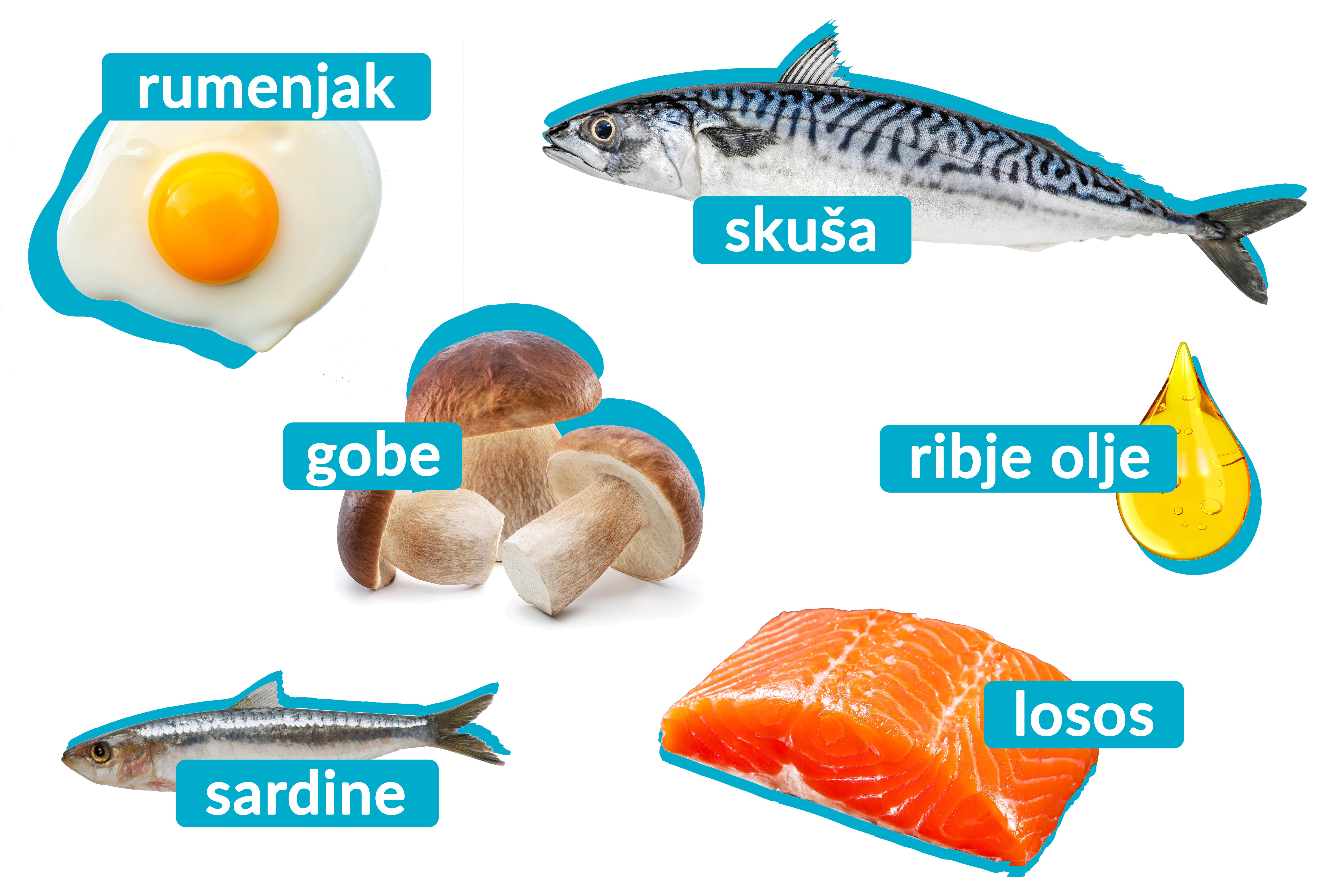 Vitamin D v prehrani